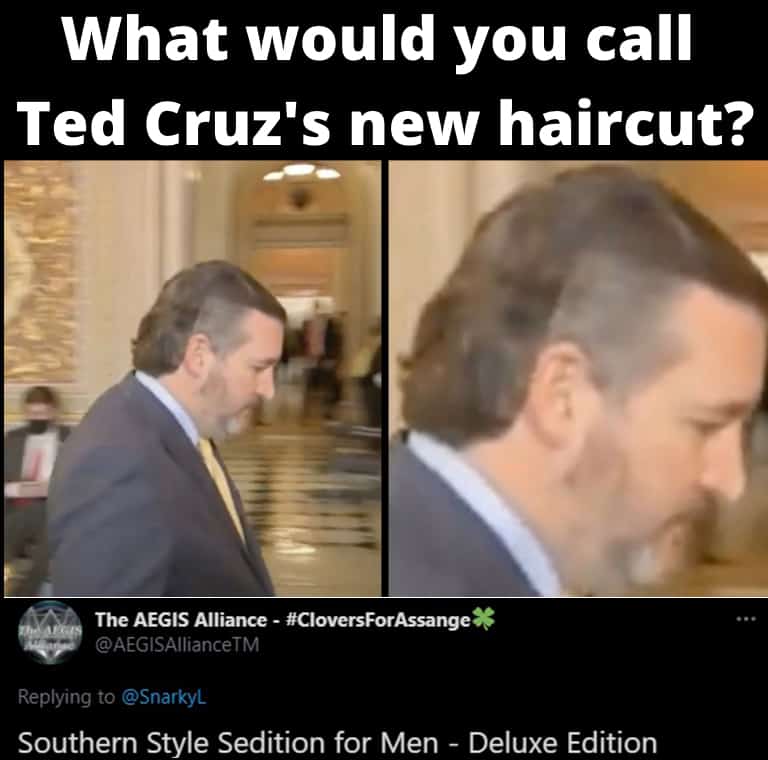 Ted Cruz’s new hairdo.. Southern Style Sedition for Men – Deluxe Edition