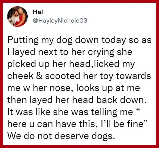 We don’t deserve dogs. They love us unconditionally. :(